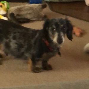 Meet your Posher, Robert